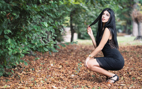 Beautiful brunette in a black dress in the park in autumn