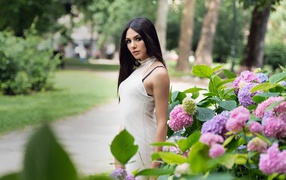 Красивая брюнетка стоит рядом с кустом гортензии