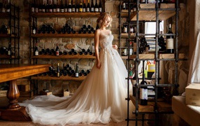 Красивая девушка в пышном свадебном платье в винном погребе