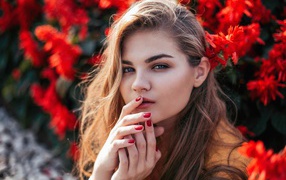 Красивая девушка на фоне красных цветов