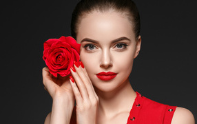 Красивая девушка с красной розой у лица на сером фоне