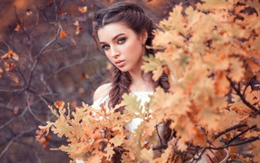 Красивая девушка с косами на фоне желтых листьев 