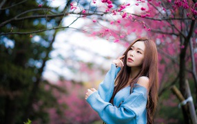 Красивая длинноволосая азиатка у дерева сакуры