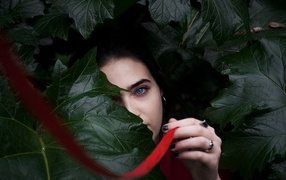 Голубоглазая девушка в больших зеленых листьях