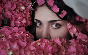 Girl's face in pink hydrangea flowers