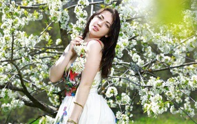 Длинноволосая девушка стоит у цветущей вишни 