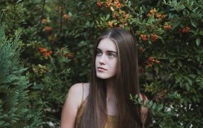 Молодая нежная девушка с длинными волосами в зеленых зарослях 