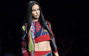 Длинноволосая брюнетка, модель Адриана Лима на подиуме