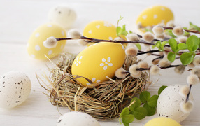 Ветка вербы с крашеными яйцами к празднику Пасха