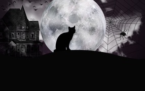 Black cat on the background of the big moon on Halloween