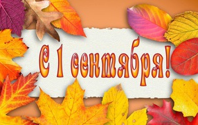 Желтые листья на 1 сентября день знаний