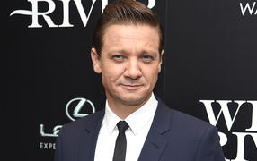 Стильный мужчина в костюме, актер Джереми Реннер