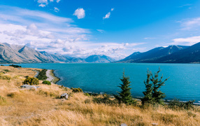 Сухая трава на берегу озера под голубым небом у гор 