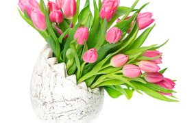 Букет розовых тюльпанов в вазе на белом фоне