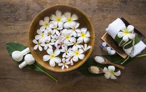 Цветы плюмерии в чаше с водой для SPA процедур 