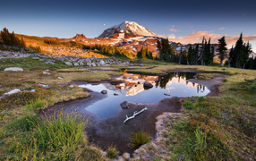 Заснеженная гора  у леса под голубым небом в лучах солнца