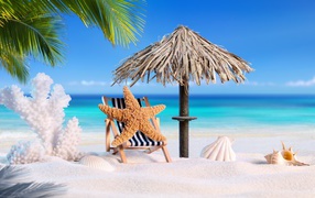 Coral, starfish and shells sunbathe on white sand in summer