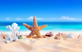 Orange starfish, coral and shells on the sand by the sea in summer