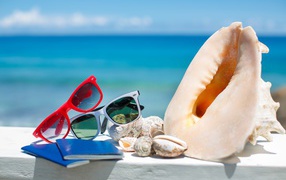 Seashells with glasses and documents on the background of the ocean
