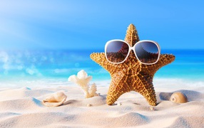 Starfish with glasses on the sand by the sea in summer