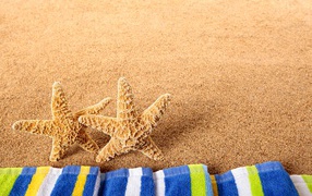 Two starfish on the yellow sand with a towel