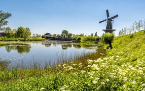 Windmill on the pond with green grass in summer