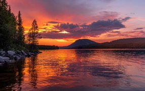 Закат в фиолетовом небе над рекой у леса