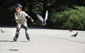 Мальчик катается на роликах на асфальте с голубями