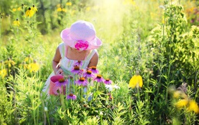 Little girl on a glade with pink flowers of Echinacea