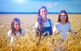 Три девочки на поле с желтой пшеницей