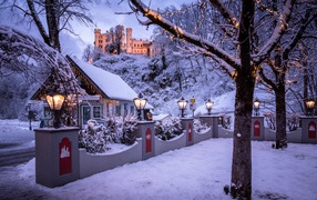 Красивые заснеженные деревья с гирляндами