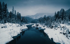 Холодная зимняя река с заснеженными берегами у леса