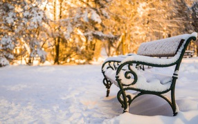 Железная заснеженная лавка солнечным днем 