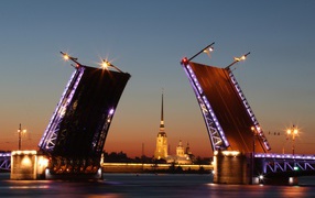 Bridges are bred in the evening over the Neva, St. Petersburg Russia