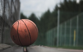 Basketball ball lying on a wooden bench
