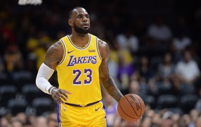 Баскетболист Леброн Джеймс игрок команды «Лос-Анджелес Лейкерс»
