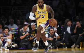 Баскетболист Леброн Джеймс на поле с мячом