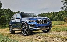Blue BMW X5 2018 car in the background of the forest