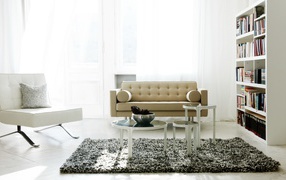 Светлая гостиная с книжным шкафом, диваном и креслом