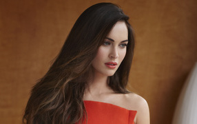 Длинноволосая девушка, актриса Меган Фокс