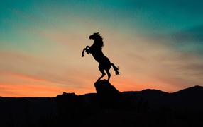 Силуэт коня на вершине горы на закате 
