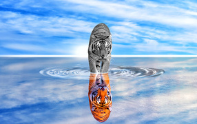 Tiger is reflected in the water against the blue sky