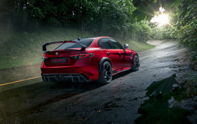 Red car Alfa Romeo Giulia GTAm, 2021 on the road in the forest
