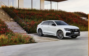 Белый автомобиль Audi Q8 60 TFSI E Quattro S Line 2020 года