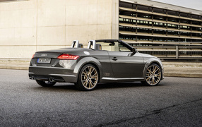 Автомобиль кабриолет Audi TT Roadster, 2021 года вид сзади
