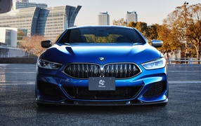 Синий автомобиль  BMW M850i XDrive Coupe 2020 года на фоне города 