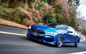 Синий автомобиль  BMW M850i XDrive Coupe 2020 года на дороге