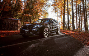 Черный автомобиль BMW X3 M Competition Line 2019 года в осеннем лесу