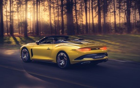 Желтый автомобиль Bentley Mulliner Bacalar 2020 года в лесу 