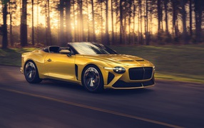 2020 yellow Bentley Mulliner Bacalar car on track